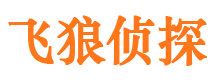 大邑市私家侦探